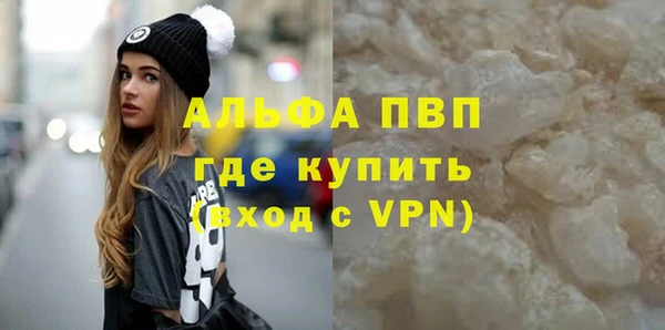 прущие грибы Липки