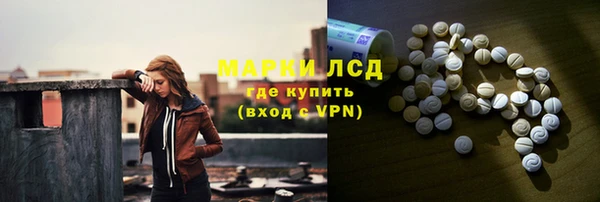 прущие грибы Липки