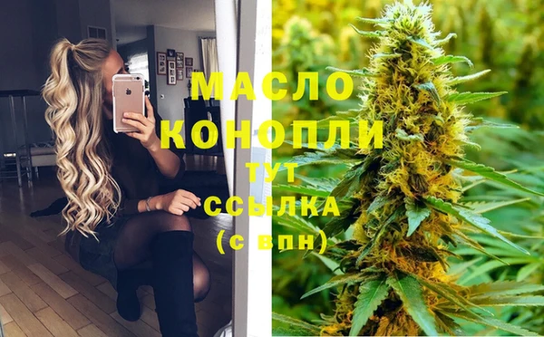 соль ск Лагань