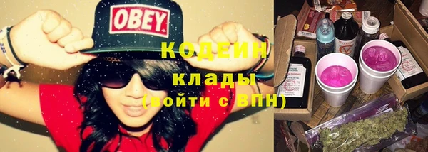 мет Ладушкин