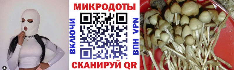 Купить где  Мамадыш  Галлюциногенные грибы Cubensis 